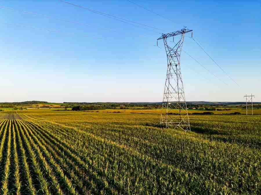 Agriculture Sector